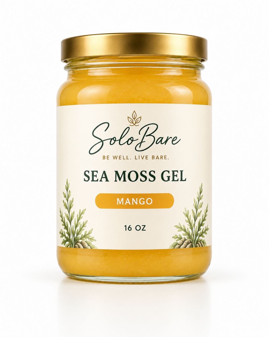 Solobare - Sea Moss Gel